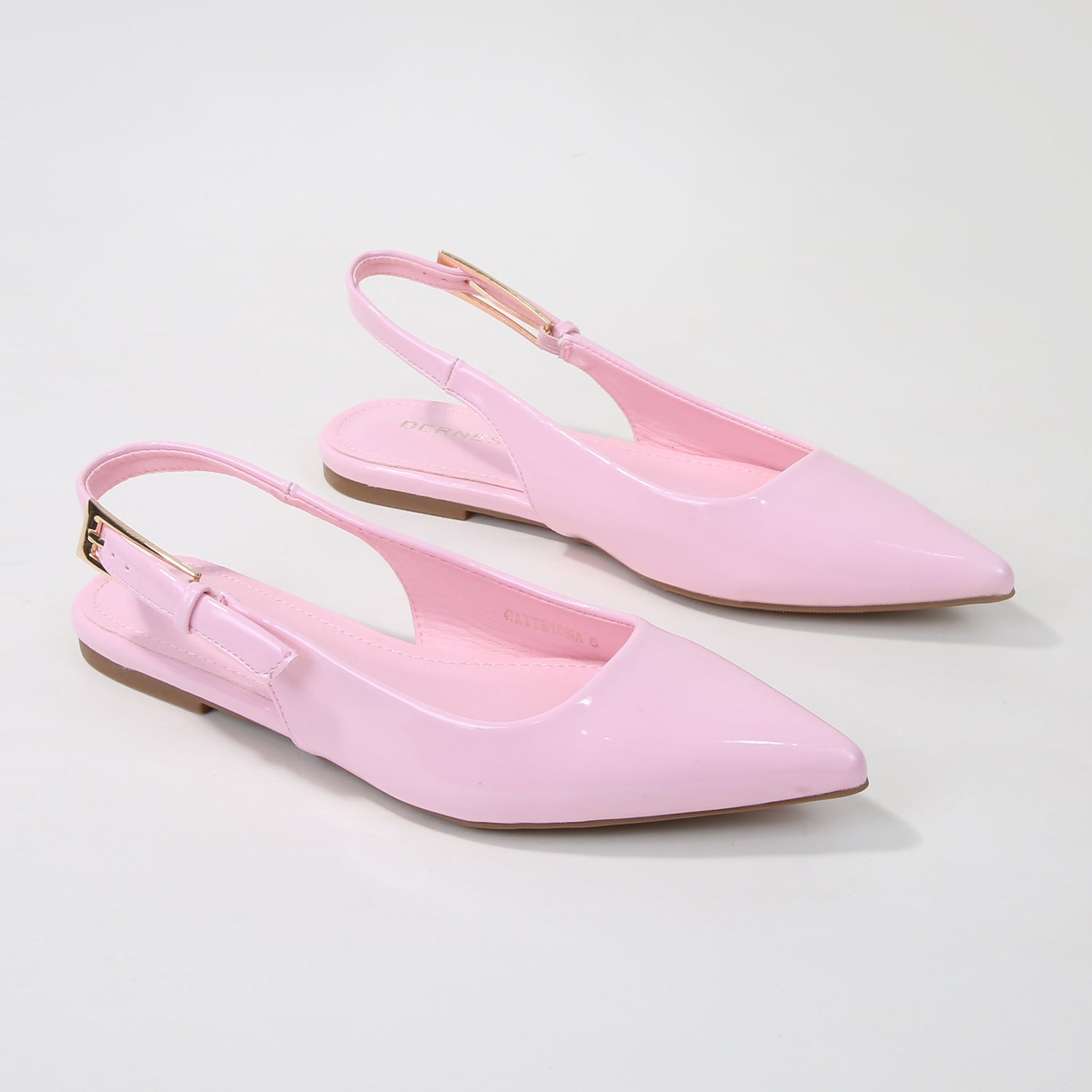 Caitriona Glossy Pointed Toe Slingback Flats